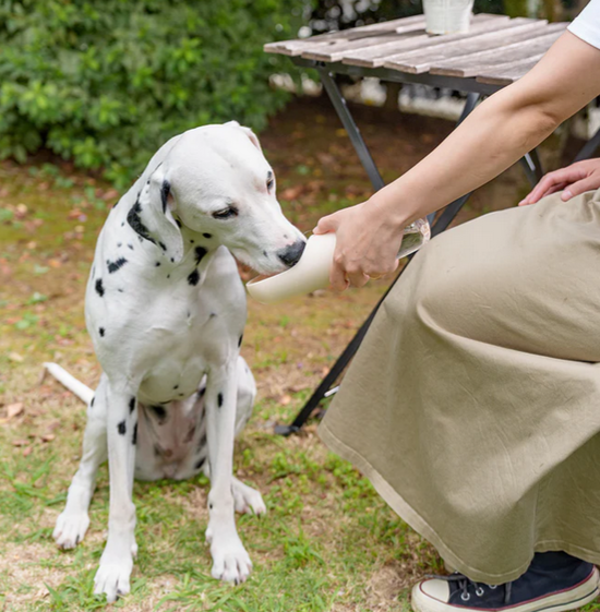 【FAD】ワンタッチ・浄水ボトル