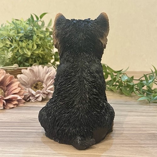 ヨークシャー・テリア