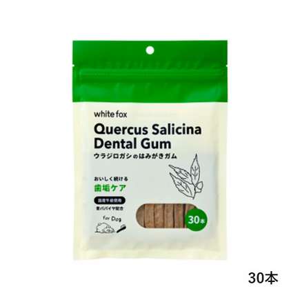 ウラジロガシのはみがきガム