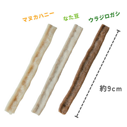 ウラジロガシのはみがきガム