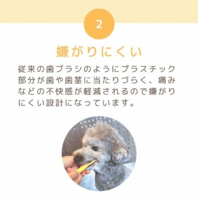 【Hapico】犬用歯ブラシ ミニ/レギュラー