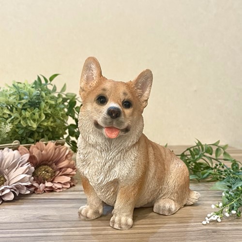 コーギー