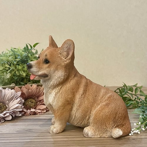 コーギー