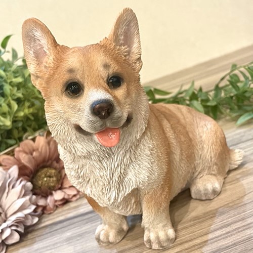 コーギー