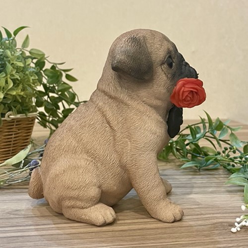 パグ(ジェントル)