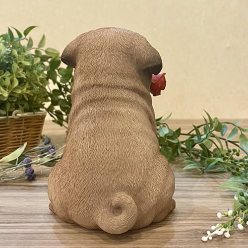 パグ(ジェントル)