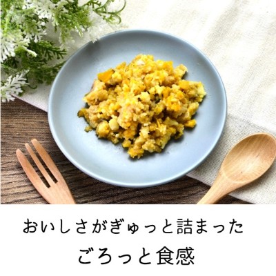 Wagわんグルメ【サーモン】自然素材だけを使った手作り一般食