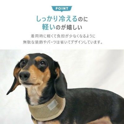 【IDOG】リフレッシングバンダナ　熱中症対策