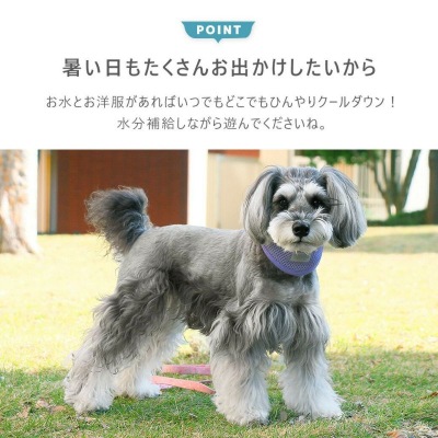 【IDOG】リフレッシングバンダナ　熱中症対策