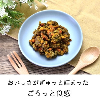 Wagわんグルメ【馬肉】自然素材だけを使った手作り一般食