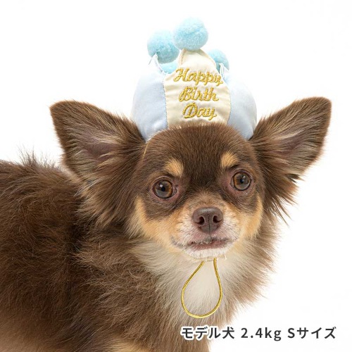 【LIFE LIKE】プレミアム バースデークラウン