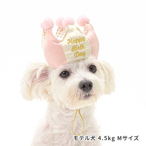 【LIFE LIKE】プレミアム バースデークラウン