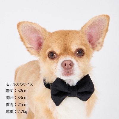 【MANDARINE BROTHERS】ボウタイ