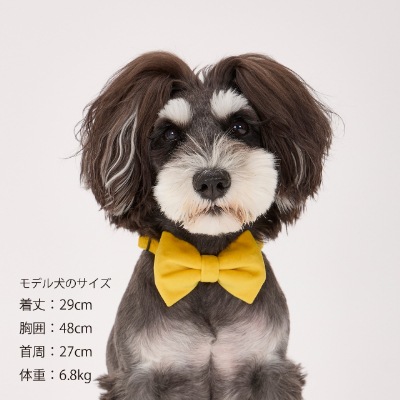 【MANDARINE BROTHERS】ボウタイ