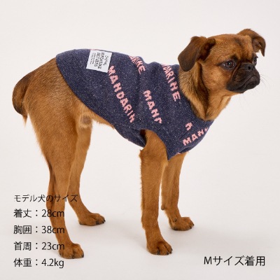 【MANDARINE BROTHERS】マンダリンロゴニット