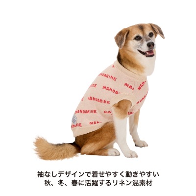 【MANDARINE BROTHERS】マンダリンロゴニット