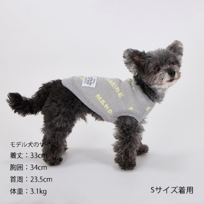 【MANDARINE BROTHERS】マンダリンロゴニット