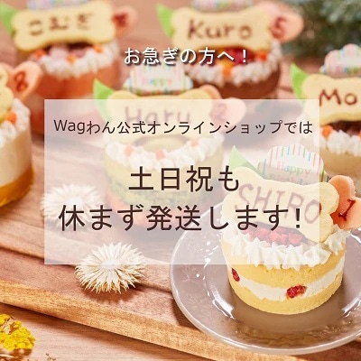 【お名前・年齢ピック付】猫用 肉だけケーキ ささみ【Wagわん】