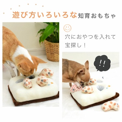 【IDOG】知育おもちゃ チンアナゴ