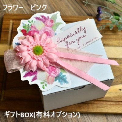 【Wagわん】犬用　自家製サーモンケーキ