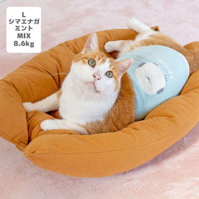 【iDog】ふわもこ腹巻き