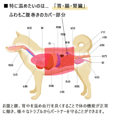 【iDog】ふわもこ腹巻き