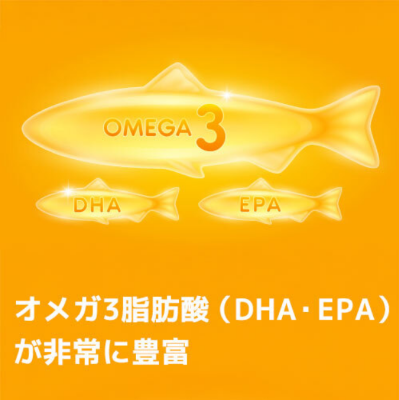 ハブ フロム サーモンオイル 犬用 100ml(栄養補完食)