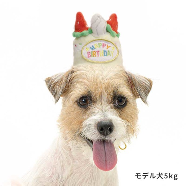 【LIFE LIKE】バースデーケーキクラウン