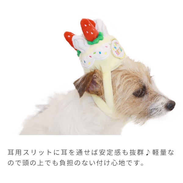 【LIFE LIKE】バースデーケーキクラウン