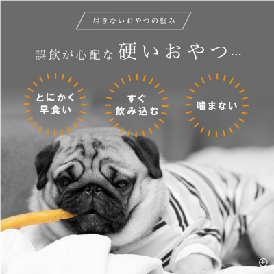 愛犬用ガムスタンド かむーぶ【丸のみ防止に】