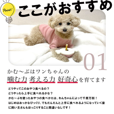 愛犬用ガムスタンド かむーぶ【丸のみ防止に】