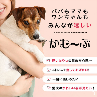 愛犬用ガムスタンド かむーぶ【丸のみ防止に】