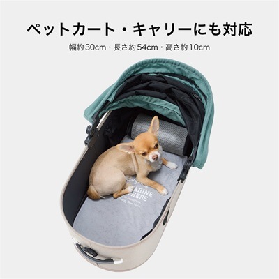 【MANDARINE BROTHERS】アイシーコージ－ ミニマット