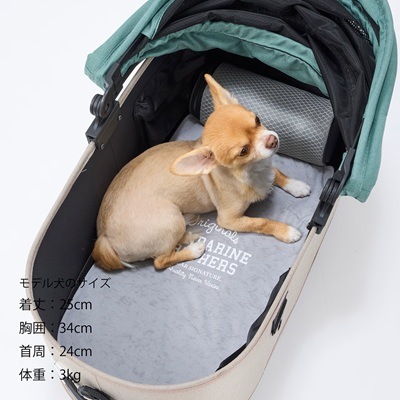 【MANDARINE BROTHERS】アイシーコージ－ ミニマット