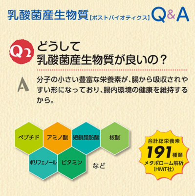 ソフィアペット