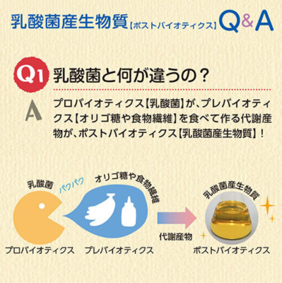 ソフィアペット