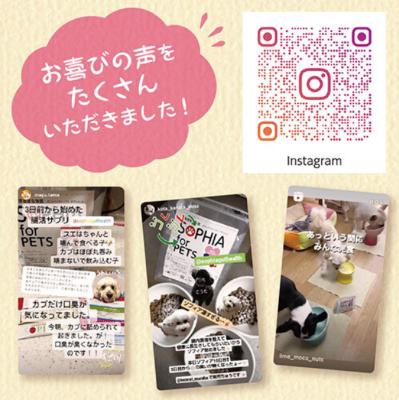 ソフィアペット