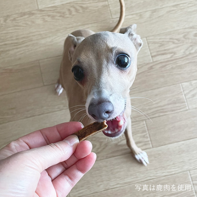 【きなり】しっとりやわらかジャーキー 鮭