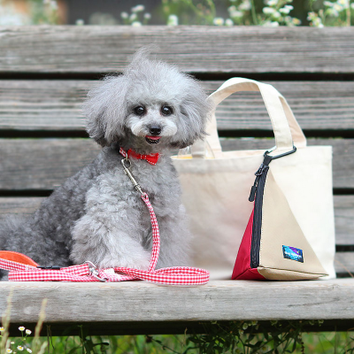 【iDog】三角マナーポーチ バイカラー IDOG EQUIPMENT 撥水