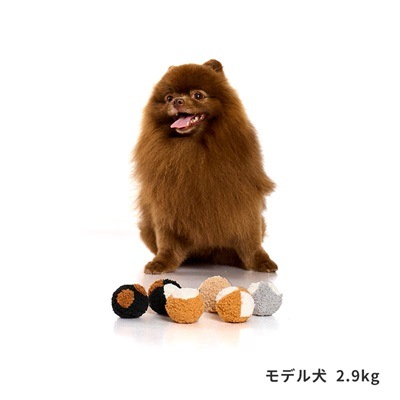 【LIFE LIKE】コートカラースパイクボール