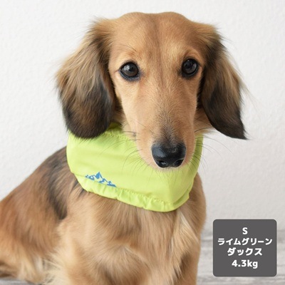 【IDOG】ネッククーラー 保冷剤付