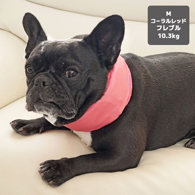 【IDOG】ネッククーラー 保冷剤付