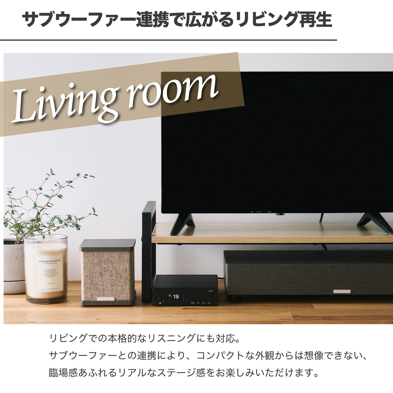 SW-SP3-SD リボンツイーター スピーカー 同軸2Way キューブ型 2台1組 36kHz パッシブスピーカー 8Ω 小型 コンパクト 高音質 デスクトップ ニアフィールド 日本設計 国内ブランド 高解像度 高定位 SOUND WARRIOR