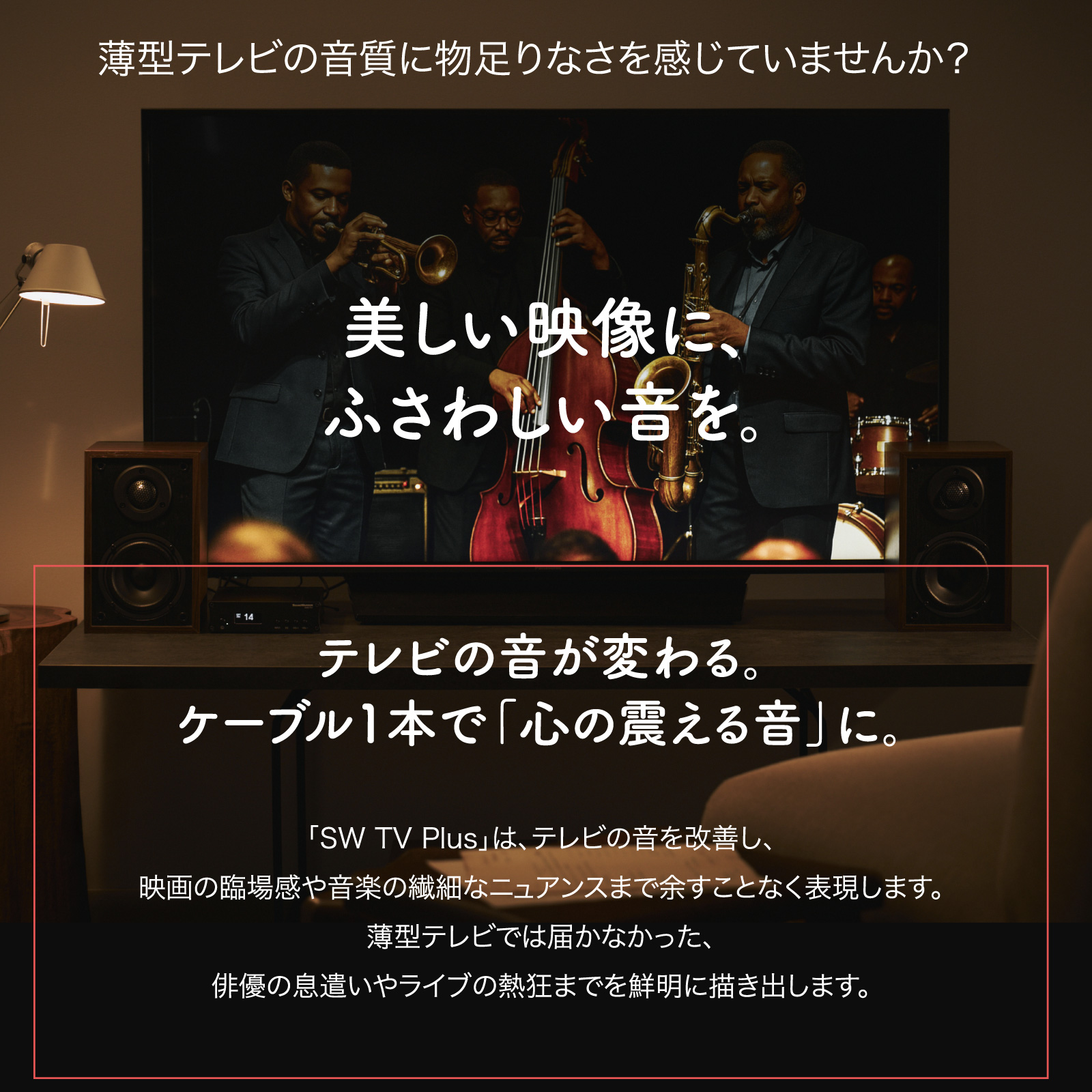 SWD-TV1-SD テレビ用アンプ SW TV Plus