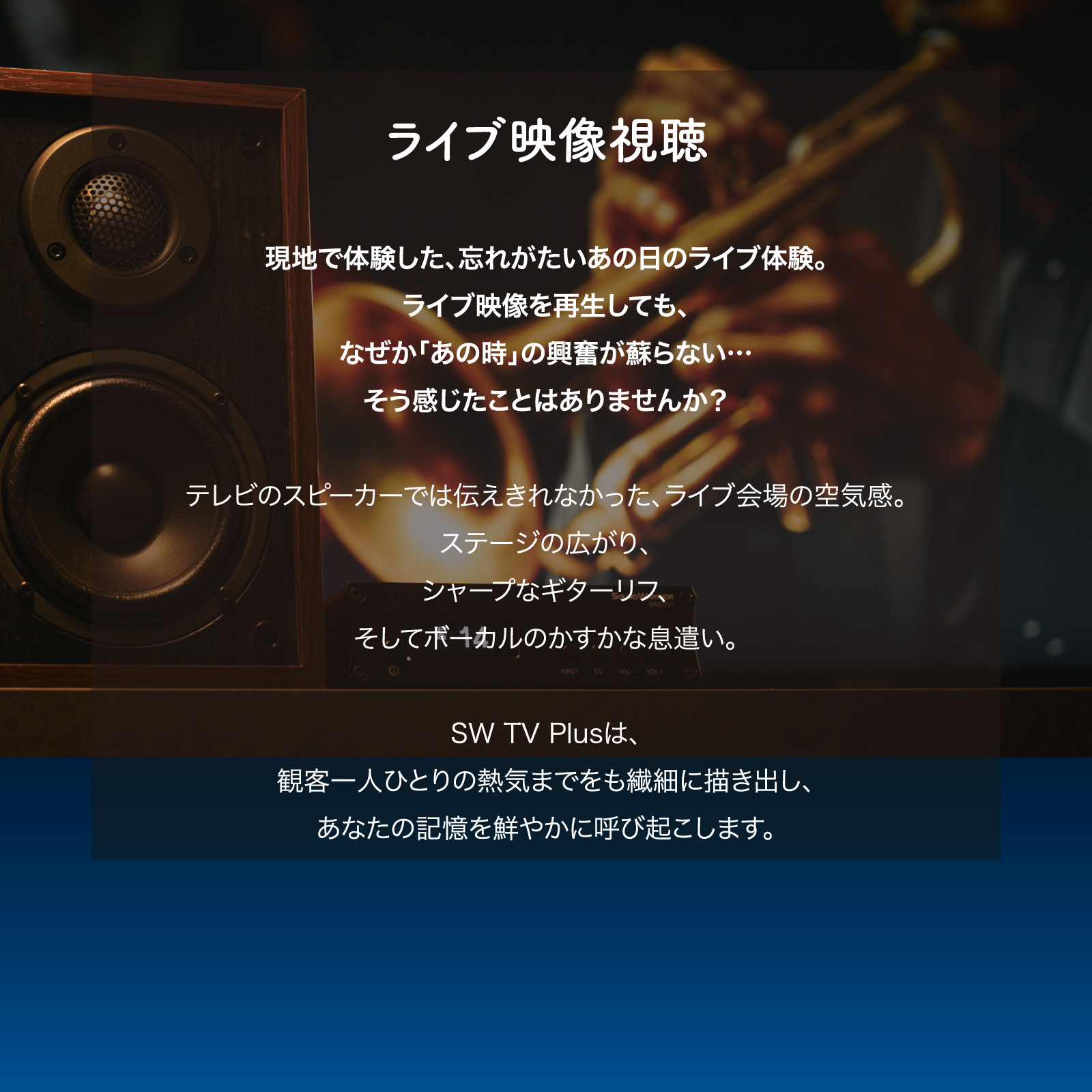 SWD-TV1-SD テレビ用アンプ SW TV Plus