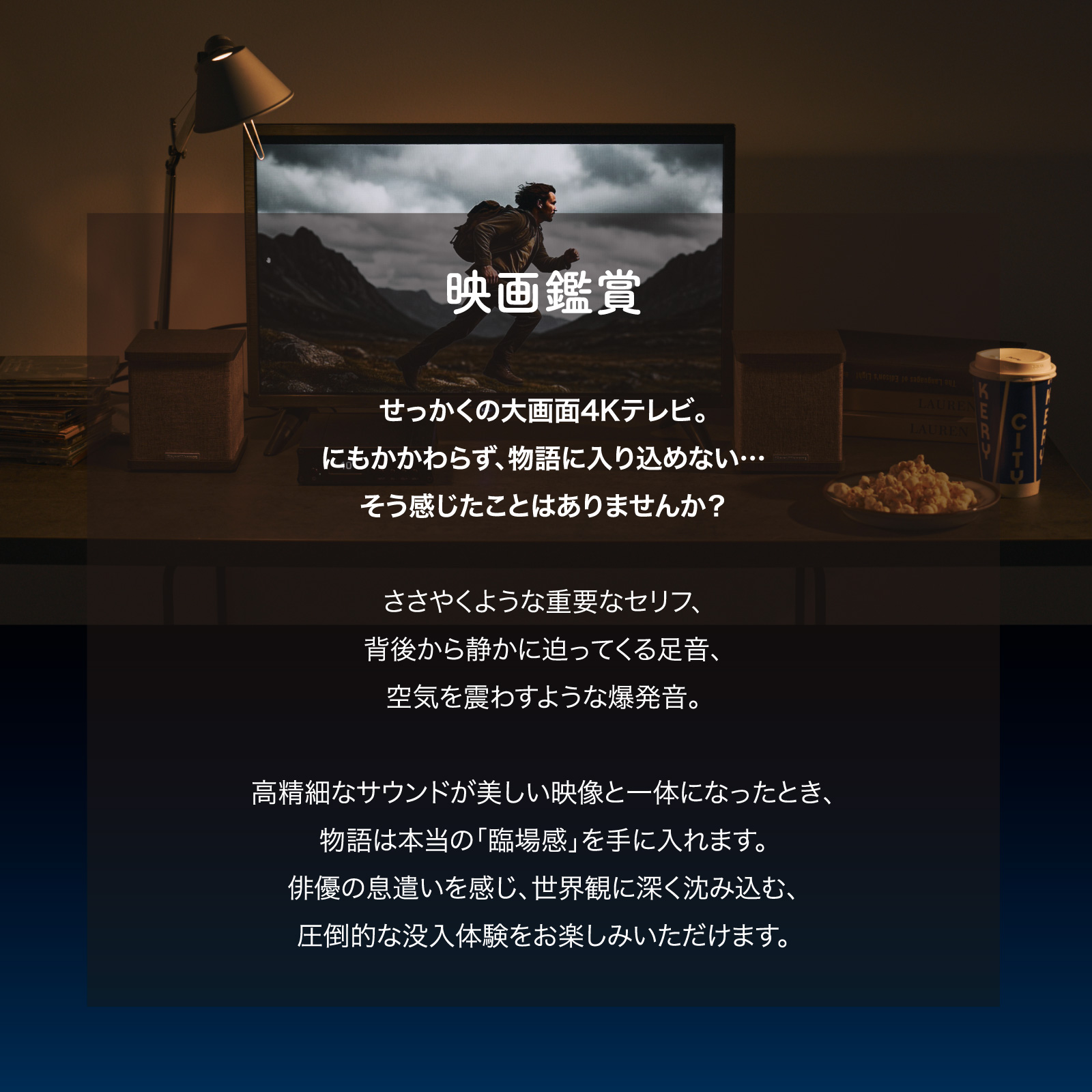 SWD-TV1-SD テレビ用アンプ SW TV Plus