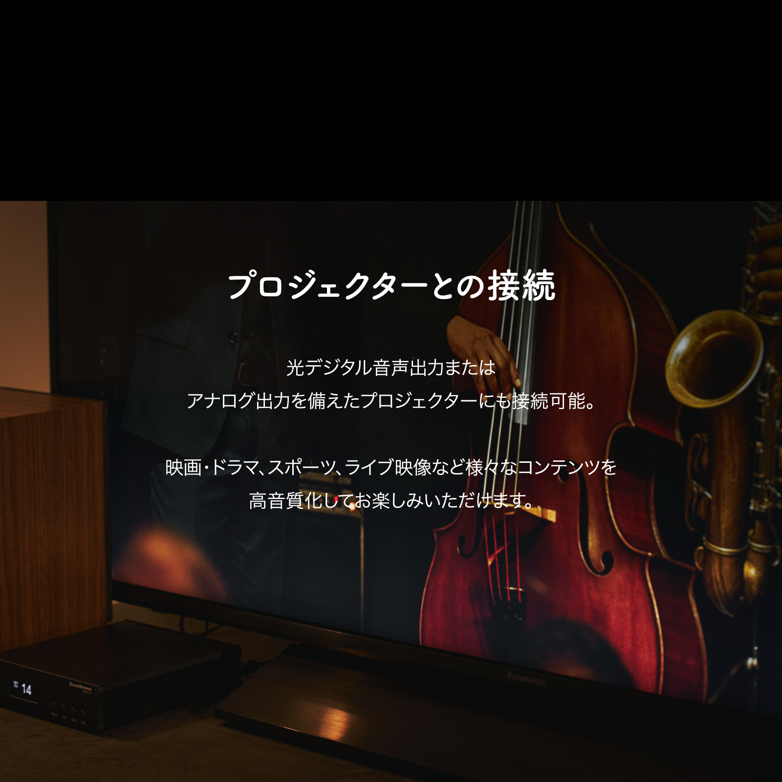 SWD-TV1-SD テレビ用アンプ SW TV Plus