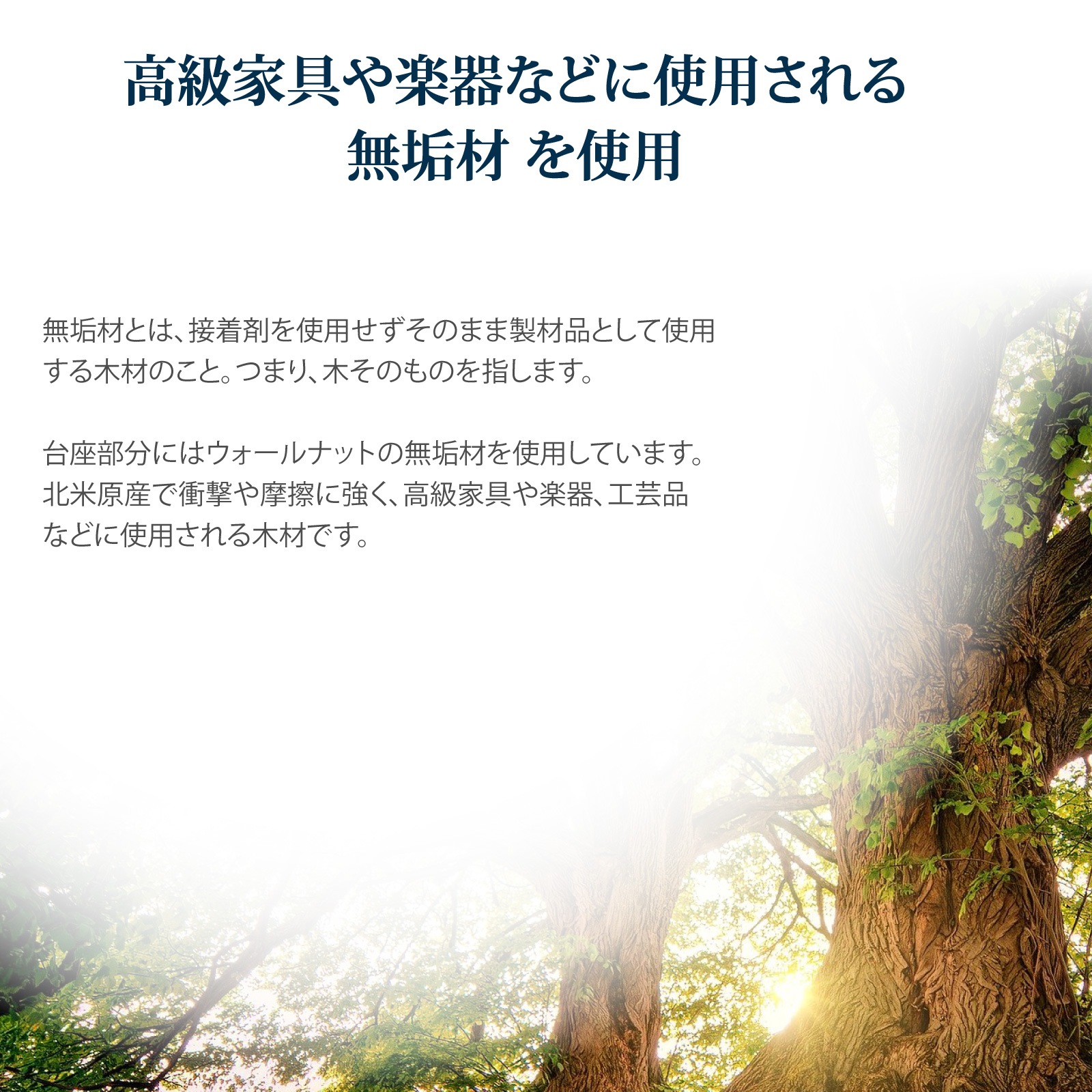 SWA-HPS ヘッドホンスタンド | ハードメープル ウォールナット 木製 無垢材 [SOUND WARRIOR]