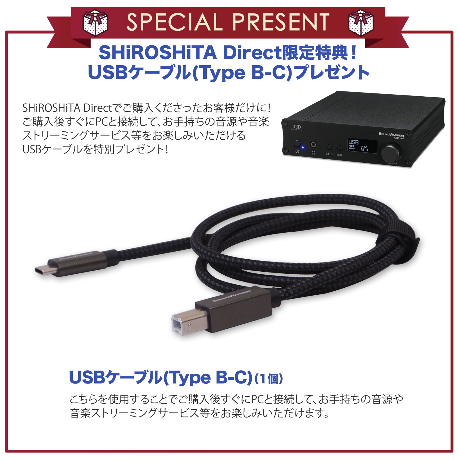 【直販ショップ限定特典付】SWD-UA1SET1 DAC内蔵 プリメインアンプ ＋ スピーカー セット 直販限定 [城下工業]