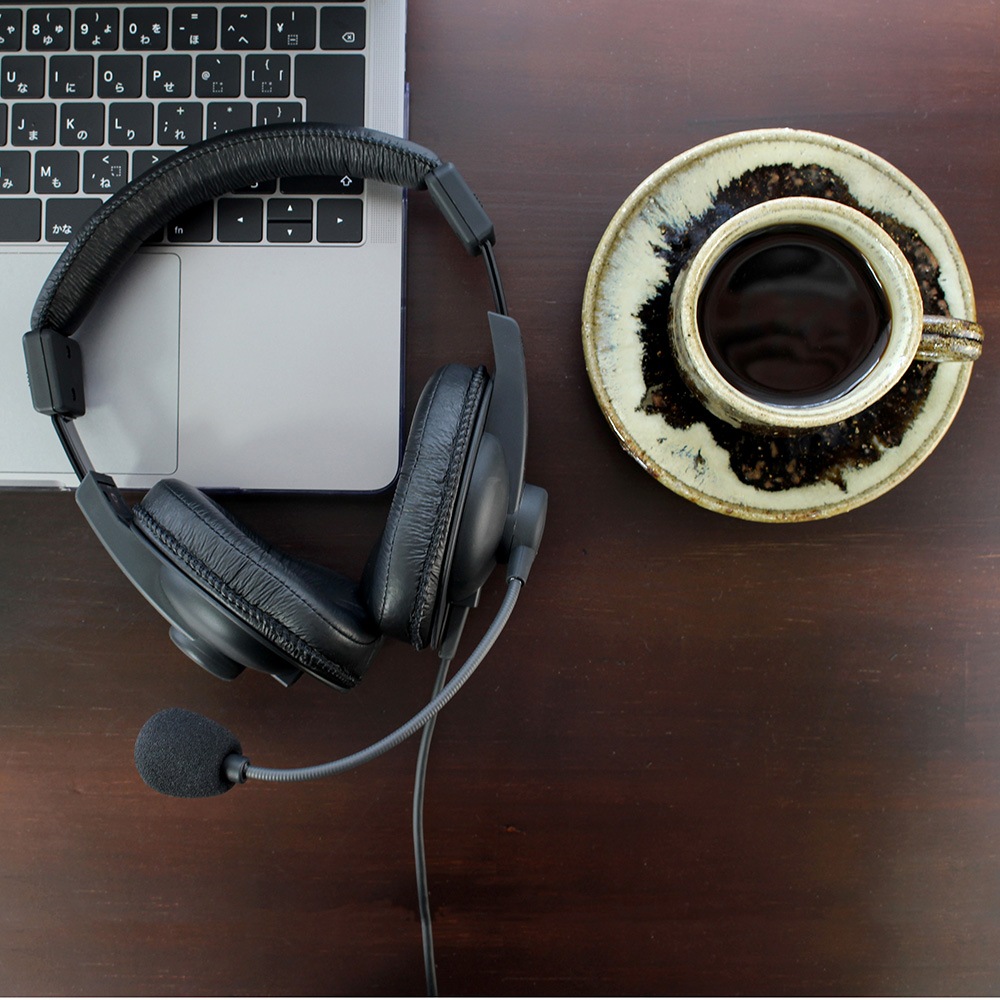 【直販ショップ限定特典付】SW-TR2-USB 密閉型 両耳タイプ ヘッドセット USBアダプター付 [城下工業]